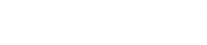 Jaguar Trips