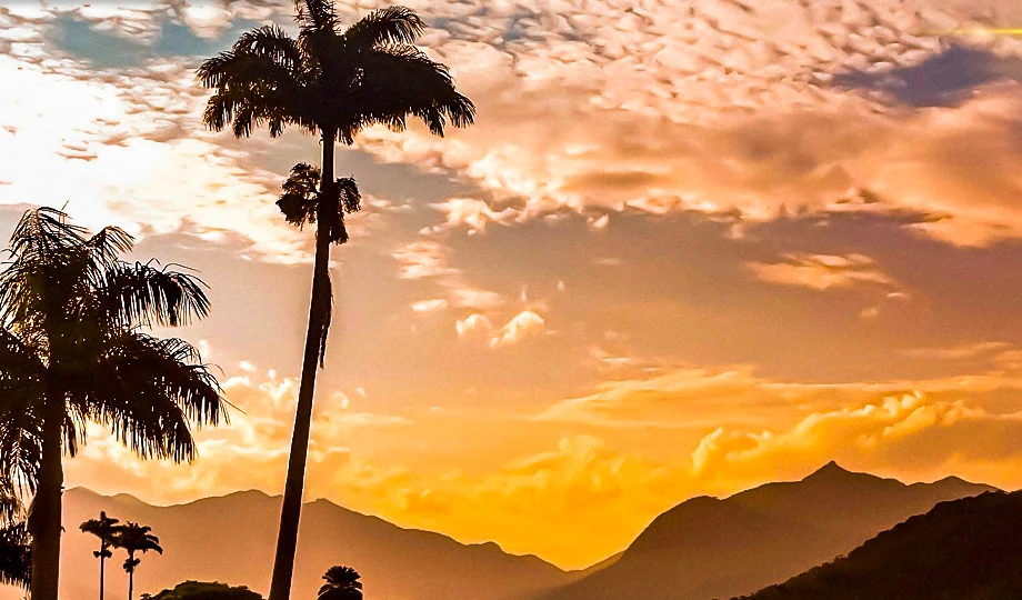 Pôr do sol com palmeiras e montanhas em Paraty