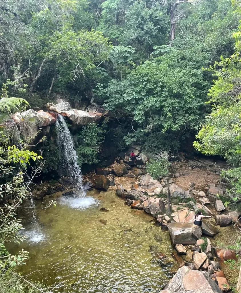 Cachoeira na mata