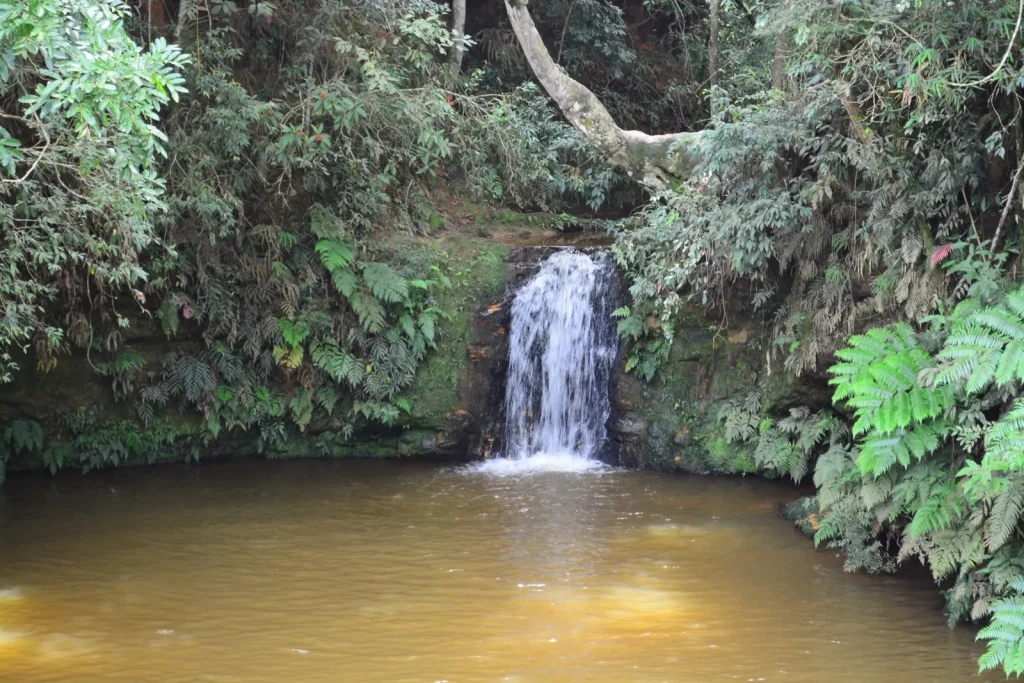 Queda da Cachoeira da Lua caindo num poço cercado de mata
